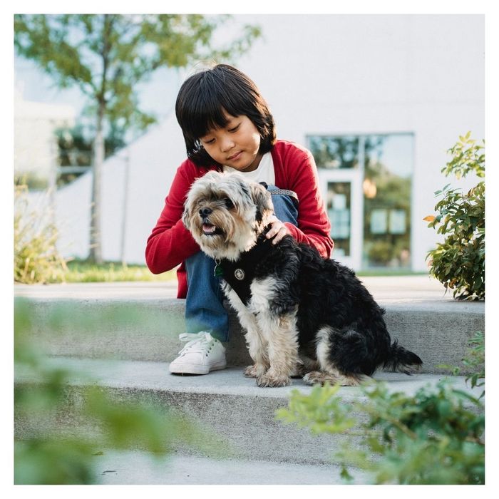 little girl and dog playing outside