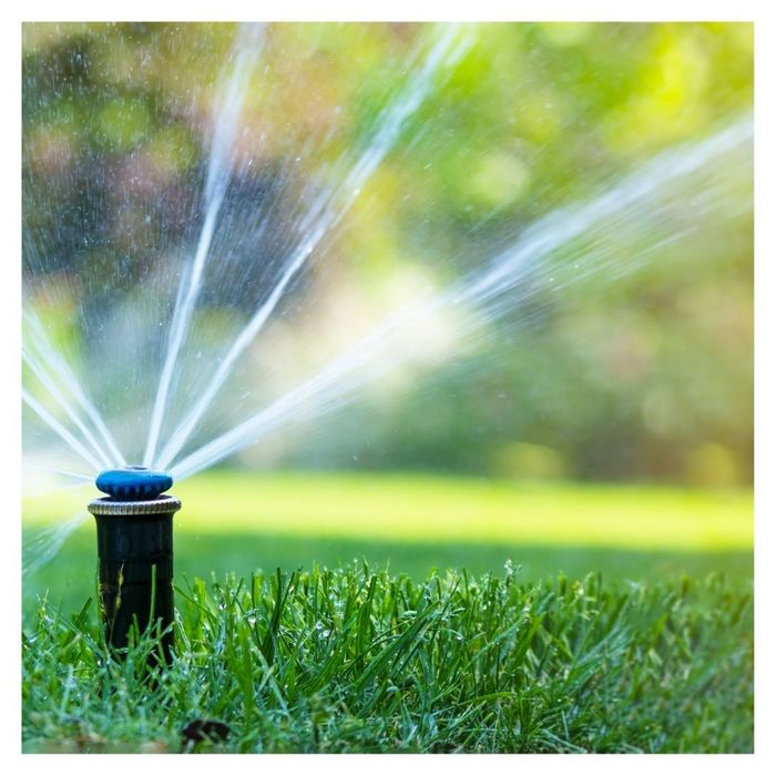 sprinkler on grass