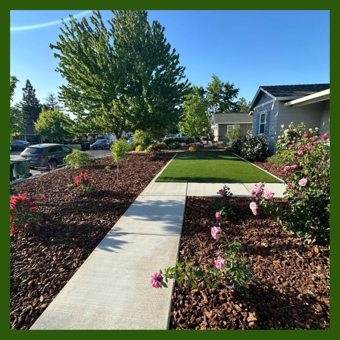 a walkway with roses