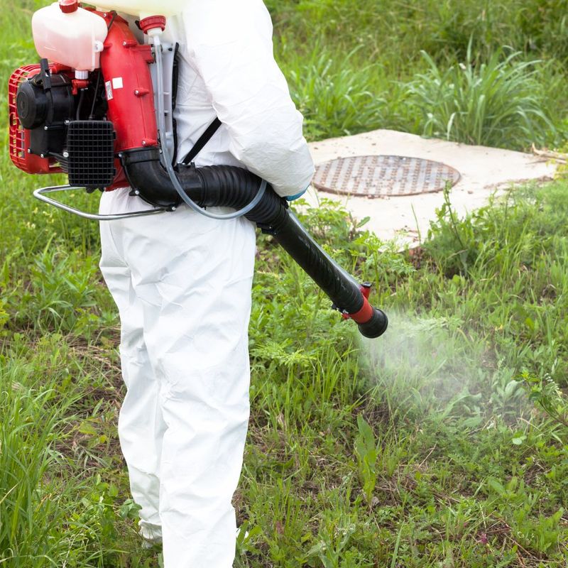A professional mosquito controller 