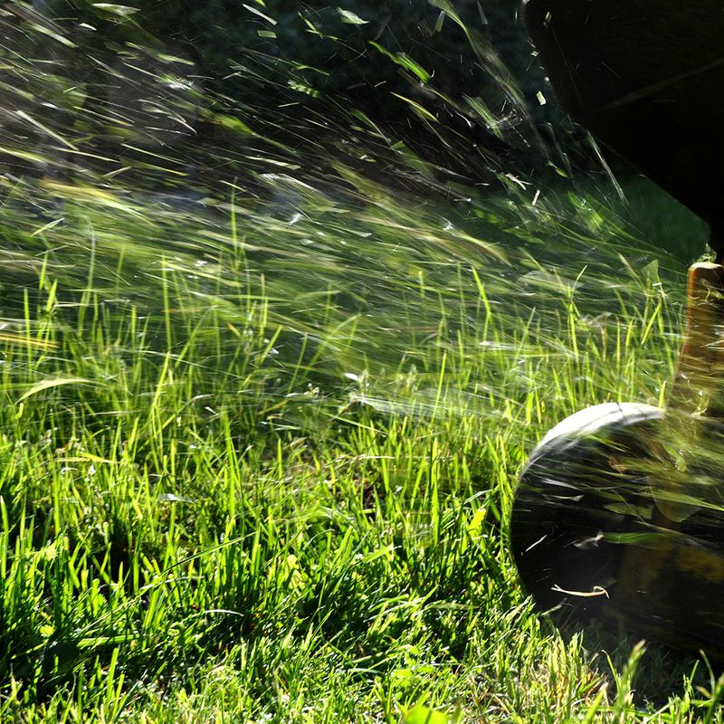 Image of a person cutting tall grass