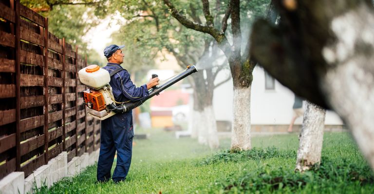 man spraying yard