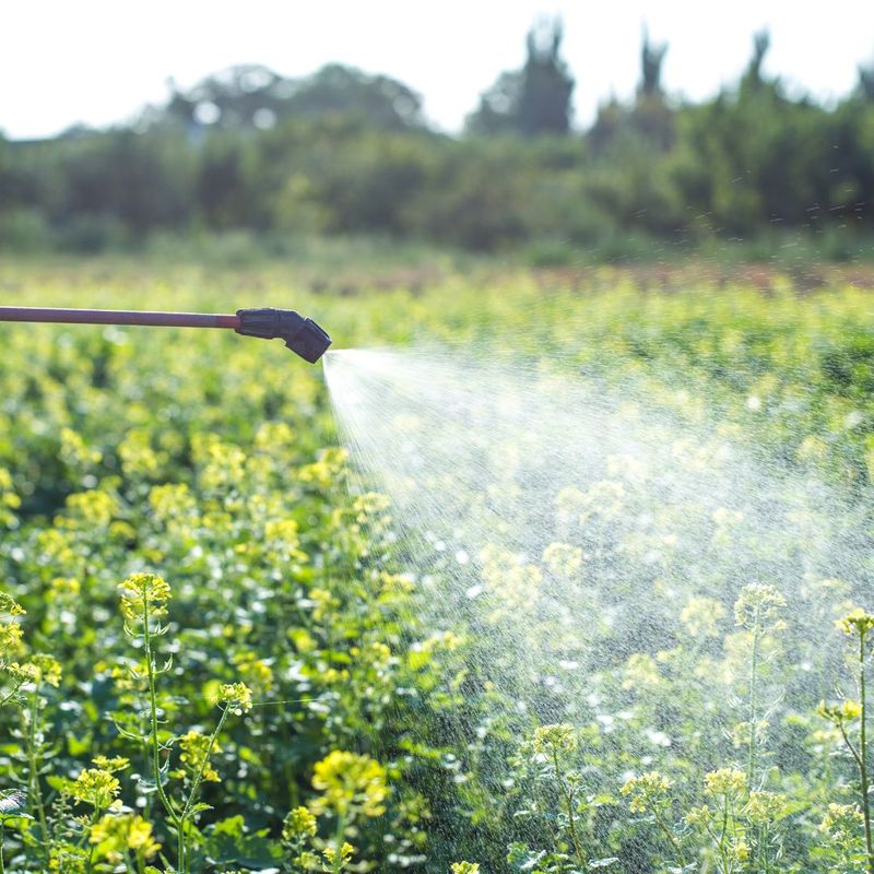 plants being sprayed with repellant