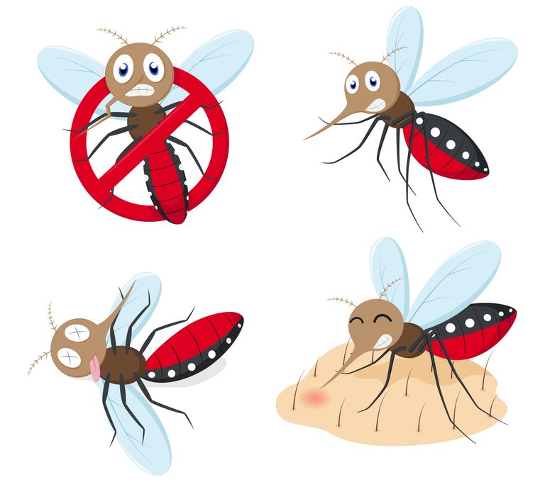 Mosquito cartoon.jpg
