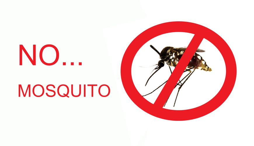 No Mosquito.jpg