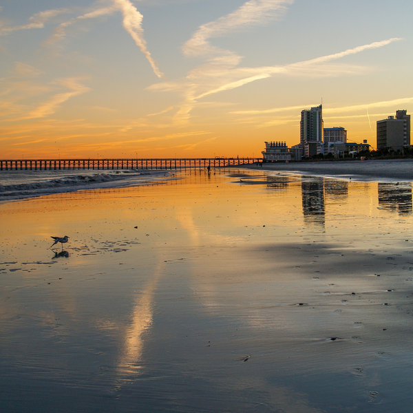 South Carolina - Image 4.png