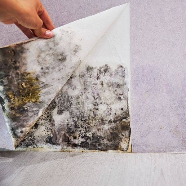 Climate Control - IMG 4.jpg