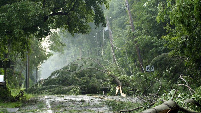 A Closer Look at SGR's Comprehensive Debris Removal Services Hero.jpg