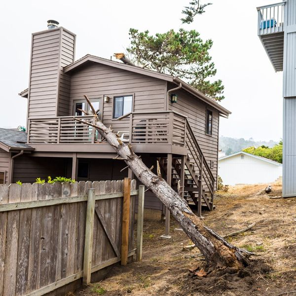 a tree fallen on a house 4 Reasons to Leave Debris Removal to the Professionals (4).jpg
