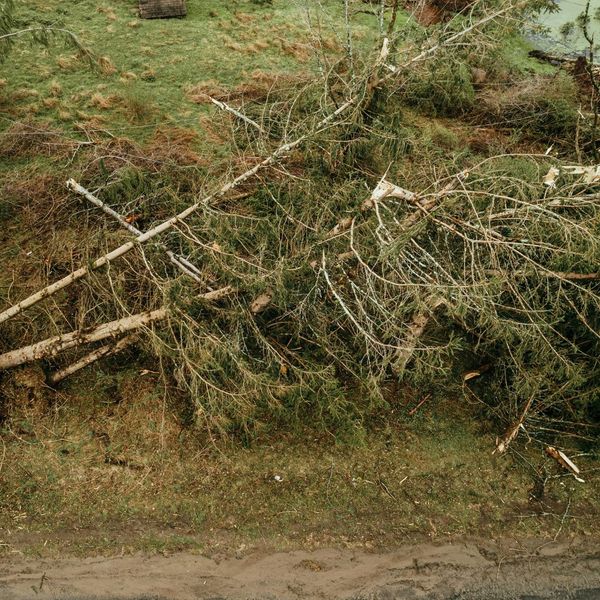 Tennessee - Image 1.jpg