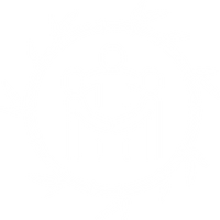 neuroicon3.png