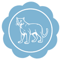 12.png