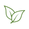 icon 1  about.png