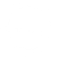 progressiveicon4.png