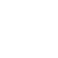 Professional Deep Cleaning icon