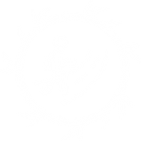 neuroicon1.png