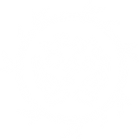 neuroicon2.png