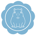 6.png