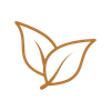 icon 2.png