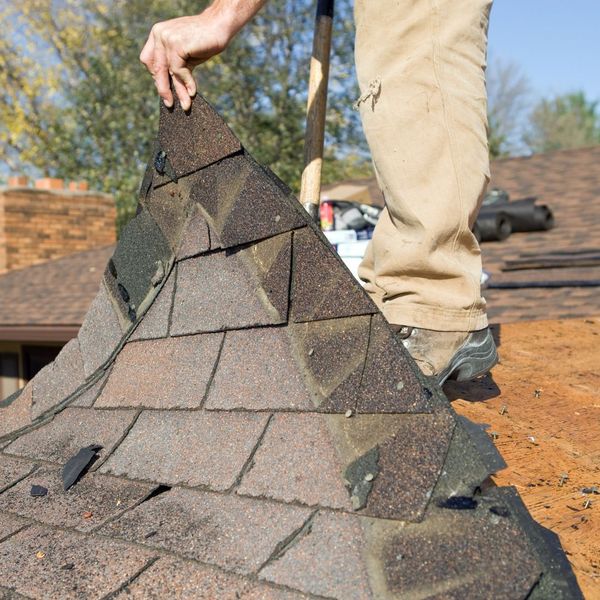 Lifting shingles from roof