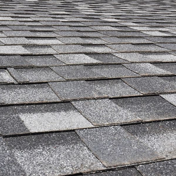 asphalt shingles