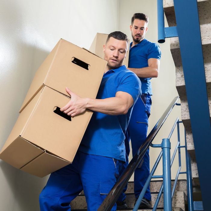 movers carrying boxes