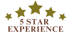 M310300 - BlueWave Plumbing - 5 Star Experience.png