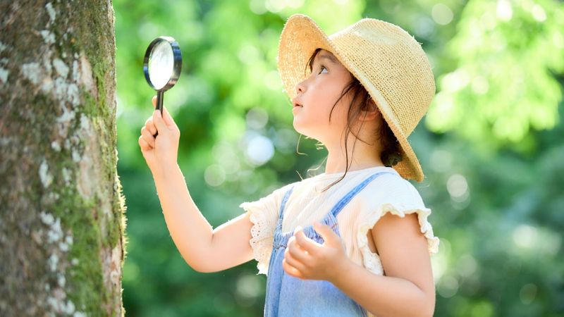 Why We Champion Outdoor Learning Hero.jpg