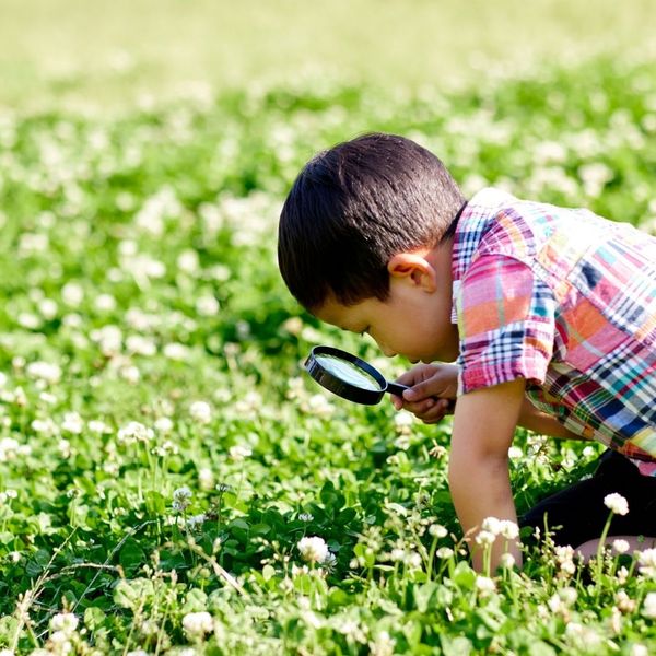 a boy looking at flower with a magnifying glass Why We Champion Outdoor Learning.jpg