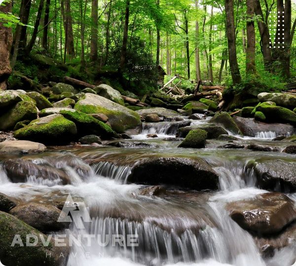 Great Smoky Mountains - 2.jpg