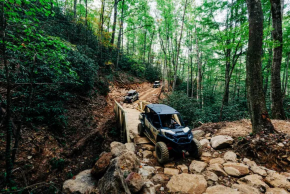 Untitled design (23).png