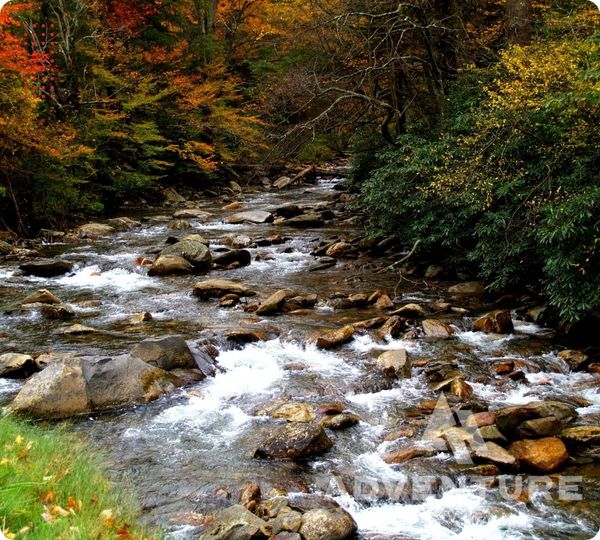 Gatlinburg - 1.jpg