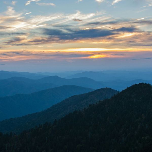 Why Rocky Top Adventure Rentals is Your Best Choice for UTV Fun - Image 2.jpg
