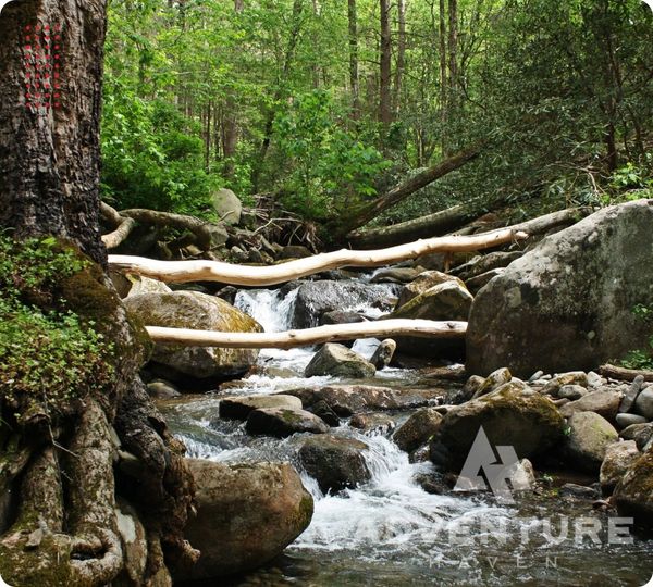 Gatlinburg - 3.jpg