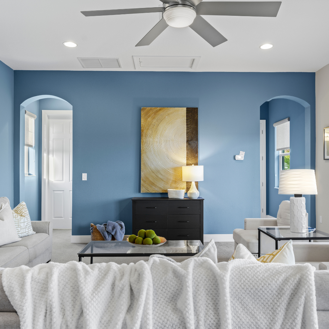 cozy blue living space 