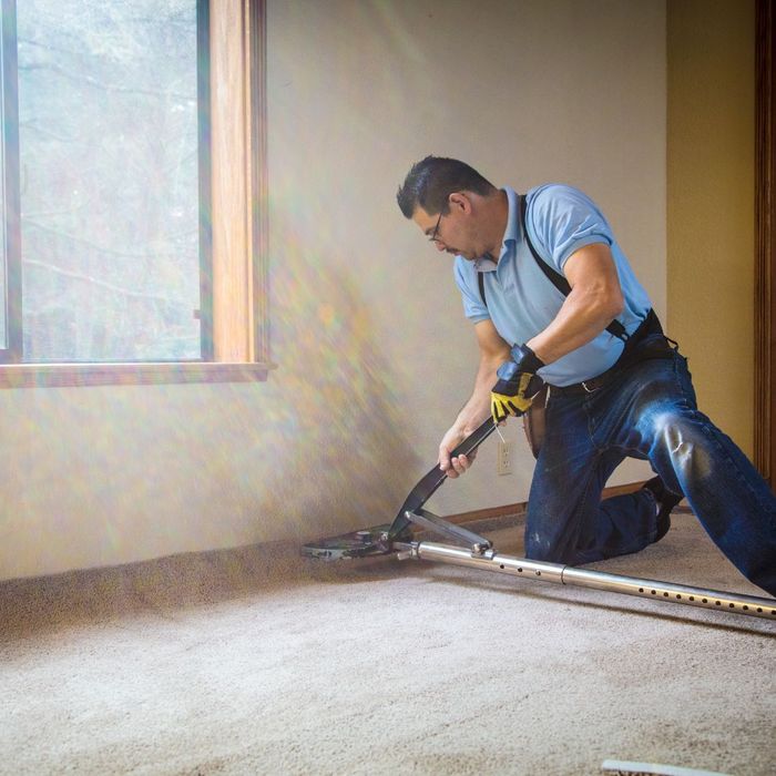 pro working on carpet