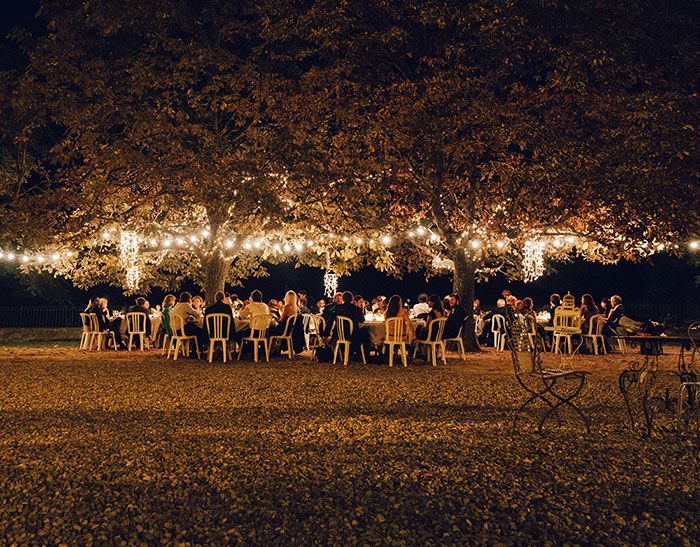 Beautiful lighting under a tree