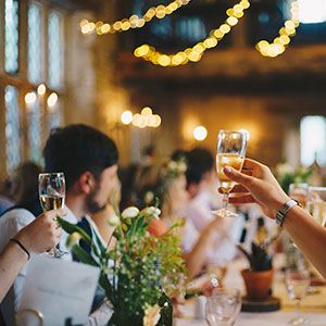 people toasting at a wedding