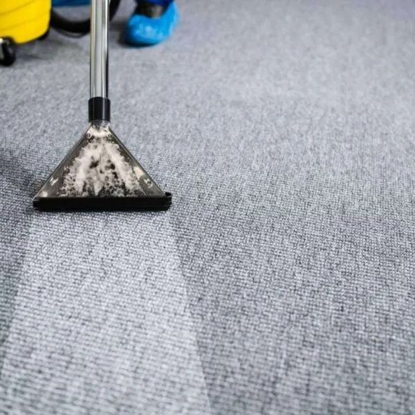 a professional carpet cleaning in progress