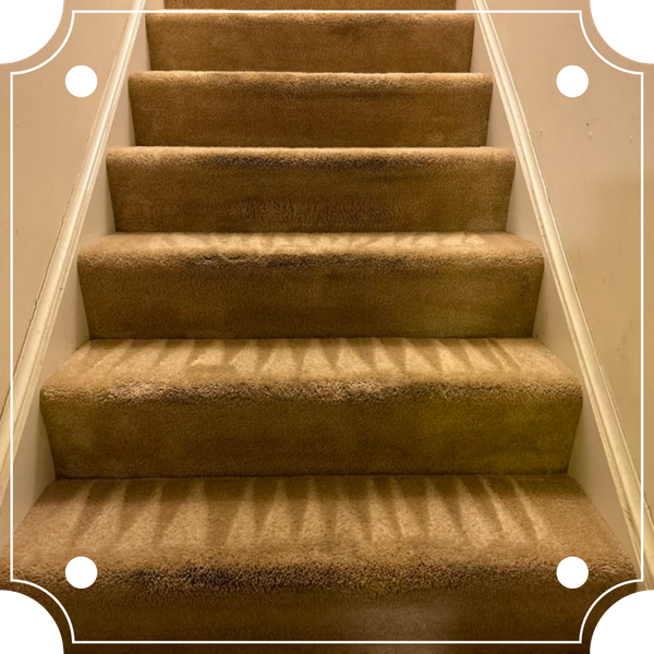 freshly-vacuumed stairs