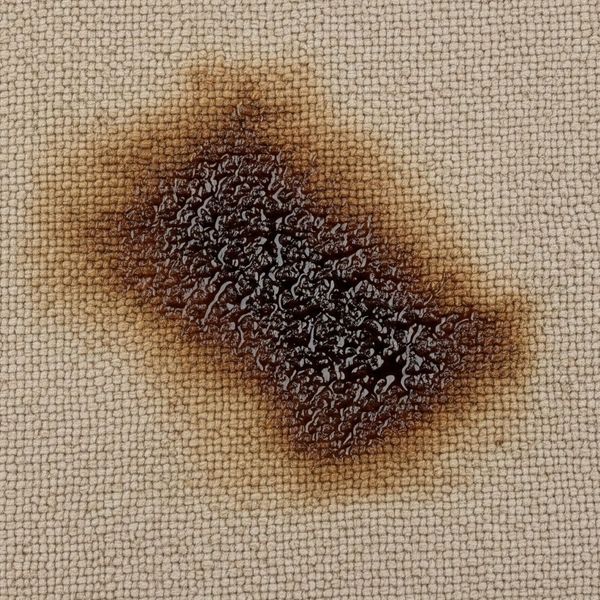 grease stain on kitchen rug