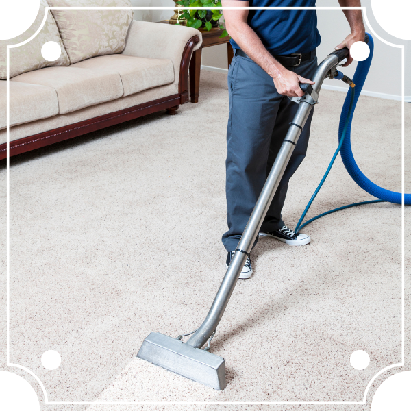 Carpet Cleaner