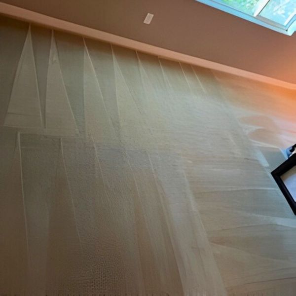 professionally cleaned carpet