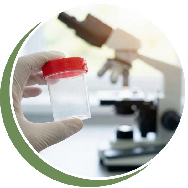 Blood in Urine PB Image 1.png