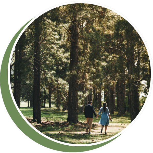 couple walking away in a forest holding hands