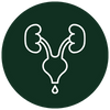 Urinary Incontinence Care Icon.png