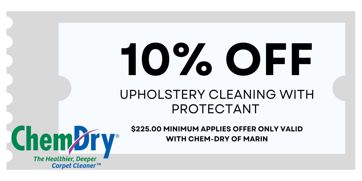 10% OFF Upholstery Cleaning with Protectant