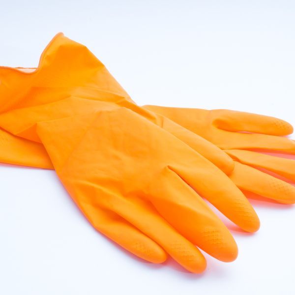 How to Remove Pet Hair from Upholstery2.jpg