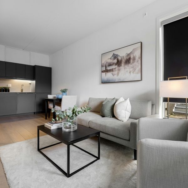 A cozy living room with a bright, clean area rug as the centerpiece.