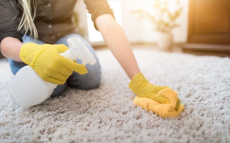 spot cleaning carpet